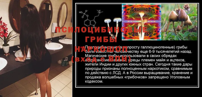 Галлюциногенные грибы ЛСД  купить   OMG ТОР  Балашов 